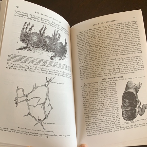 Gray’s Anatomy unabridged edition with illustrations. - Picture 3 of 4
